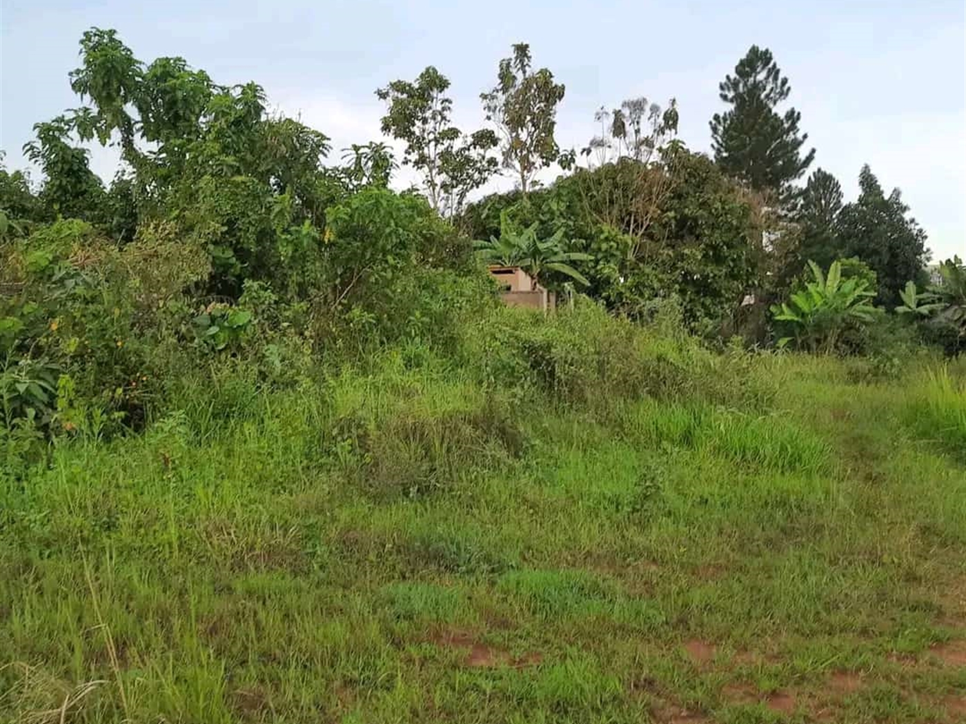 Residential land for sale in Najjera Wakiso Uganda,