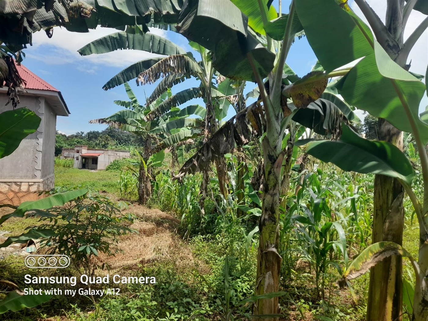 Residential land for sale in Gayaza Wakiso Uganda