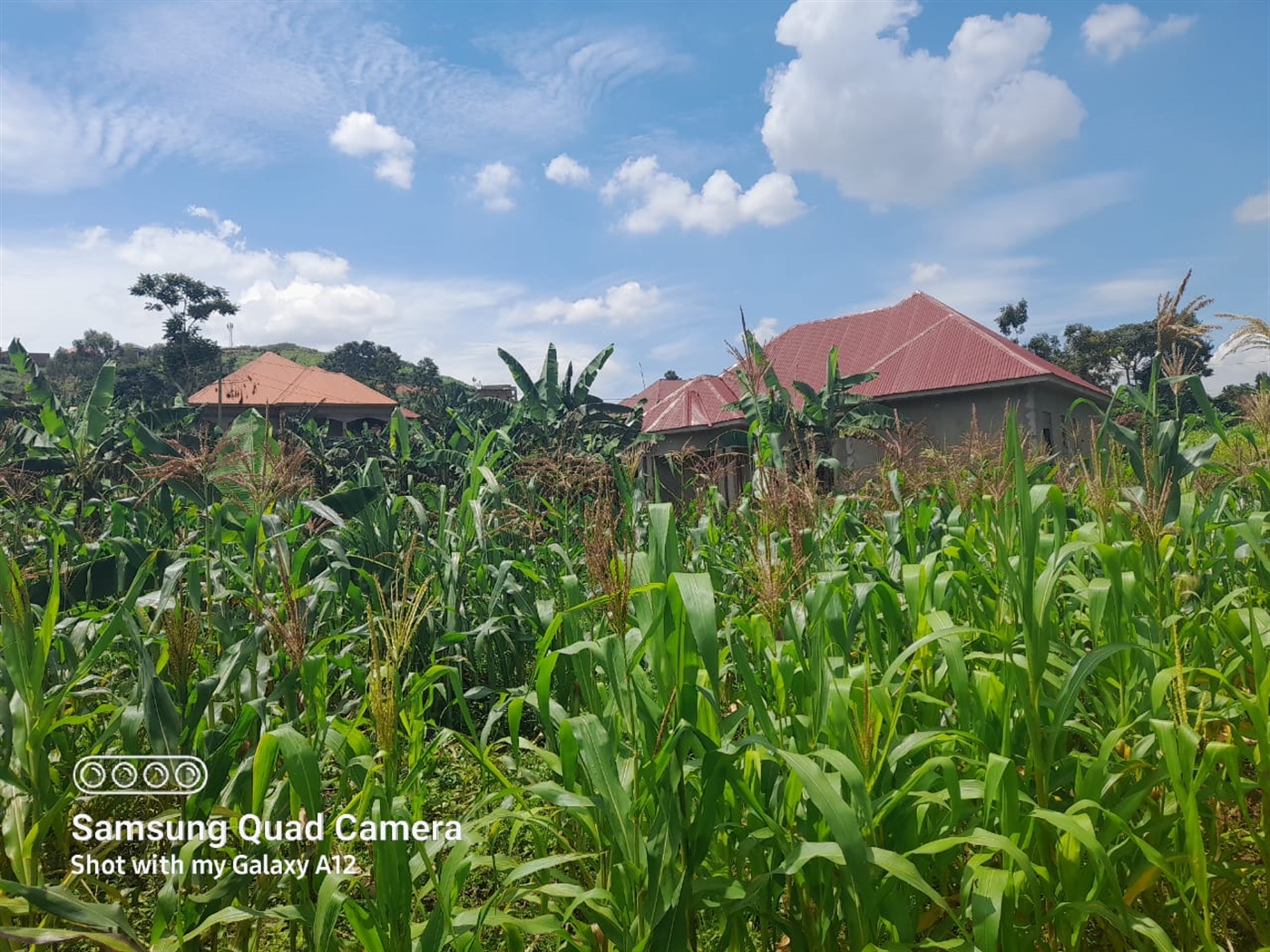 Residential land for sale in Gayaza Wakiso Uganda