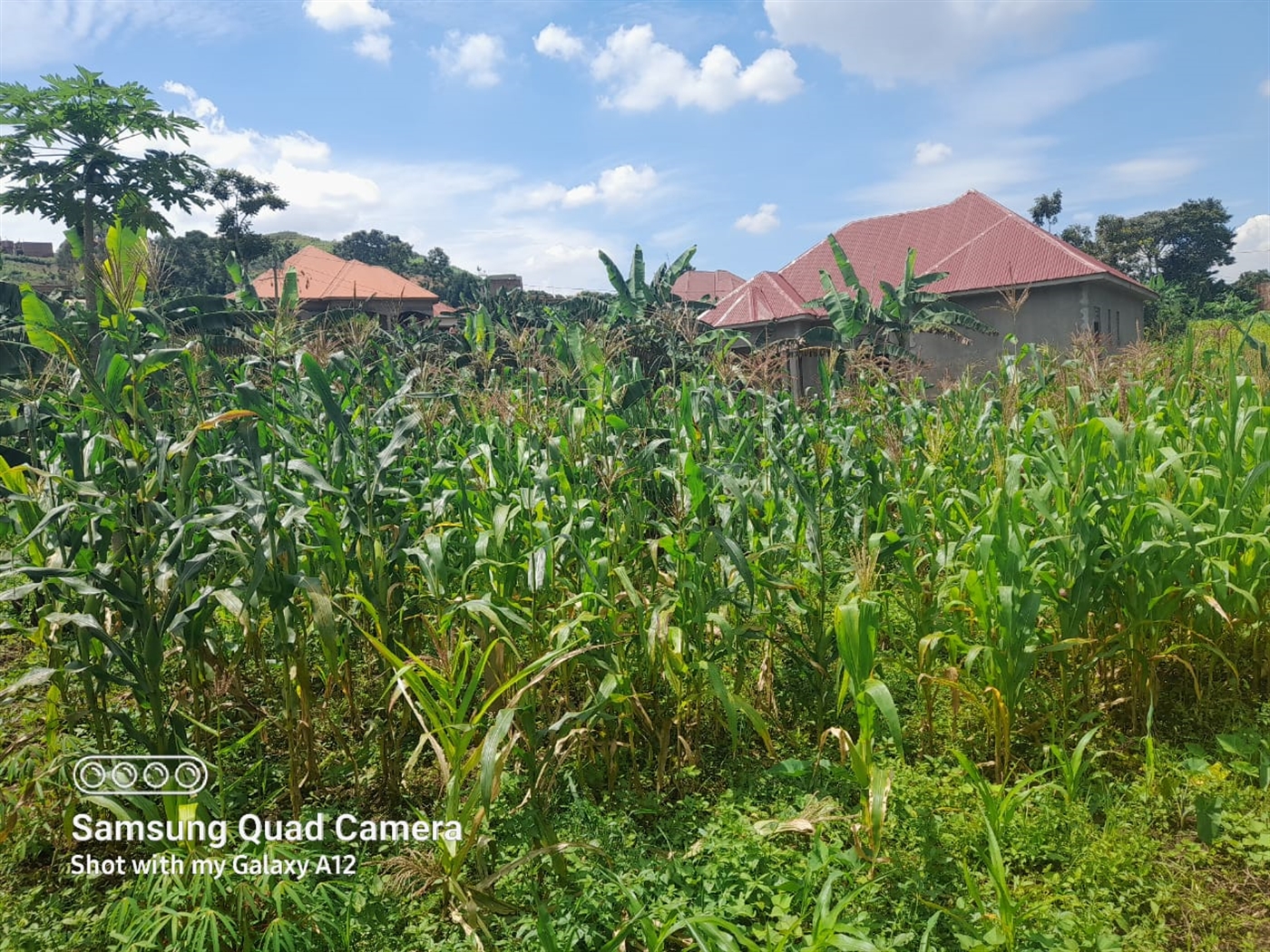 Residential land for sale in Gayaza Wakiso Uganda