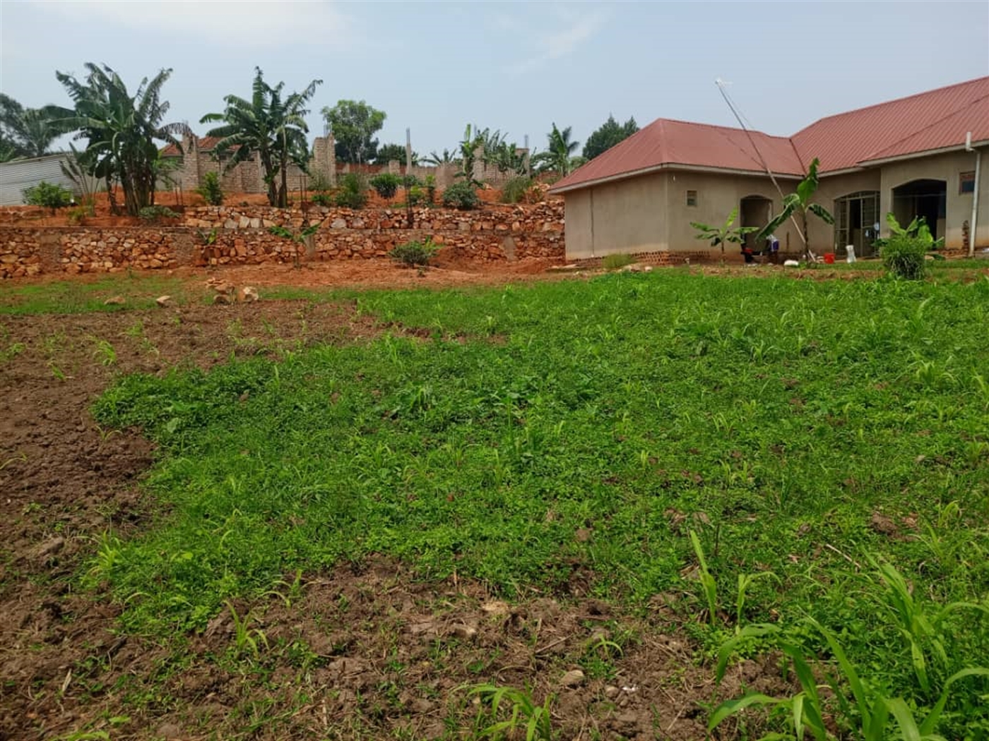 Residential land for sale in Gayaza Wakiso Uganda