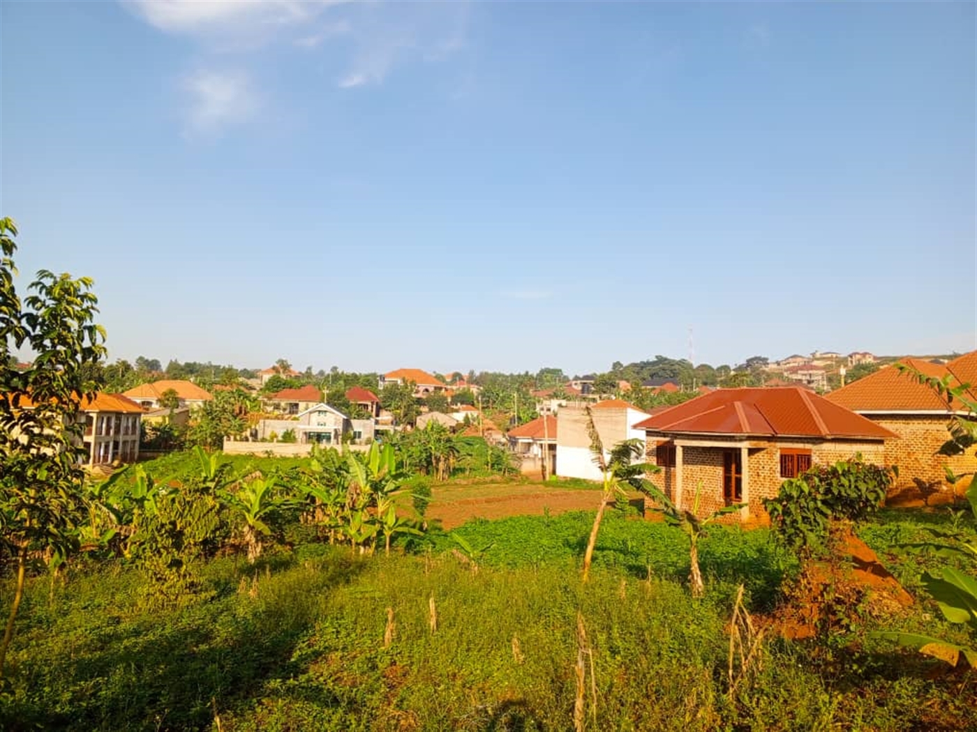 Residential land for sale in Gayaza Wakiso Uganda