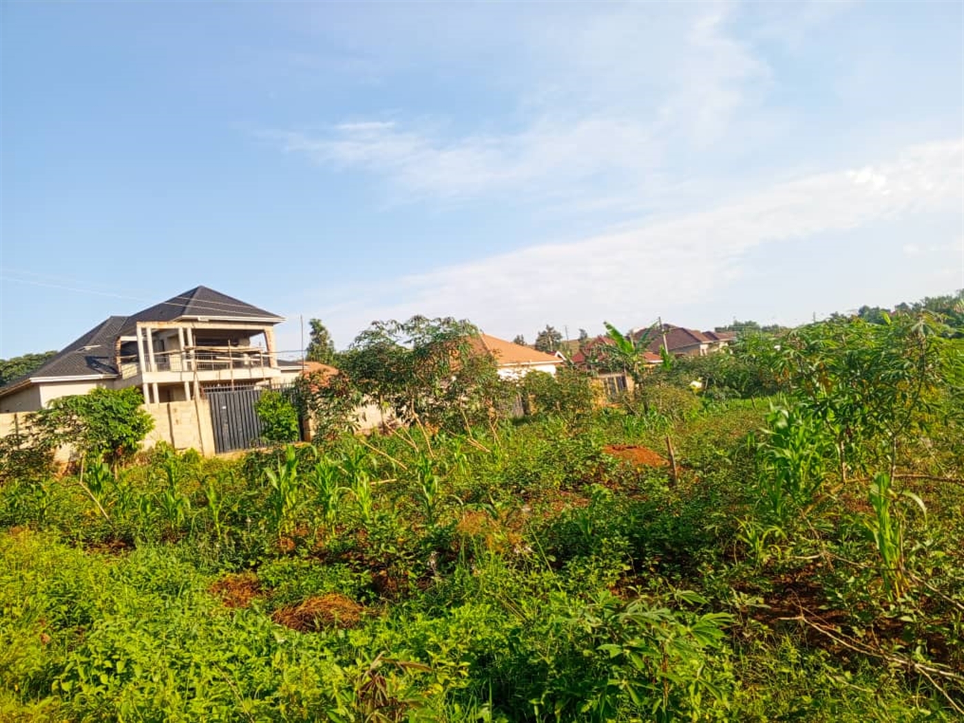 Residential land for sale in Gayaza Wakiso Uganda