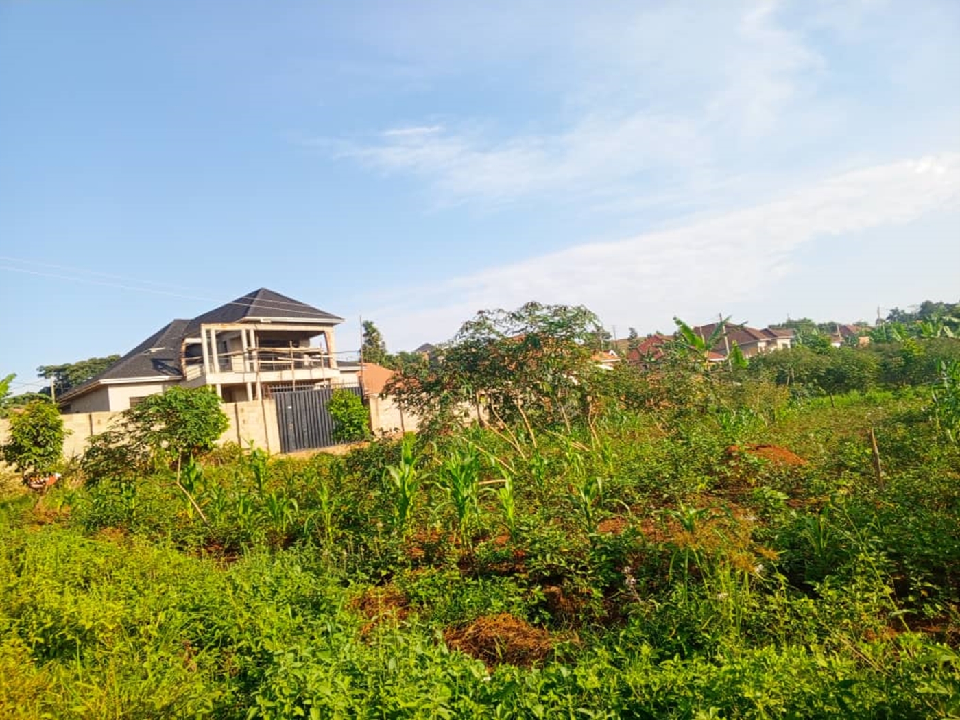 Residential land for sale in Gayaza Wakiso Uganda