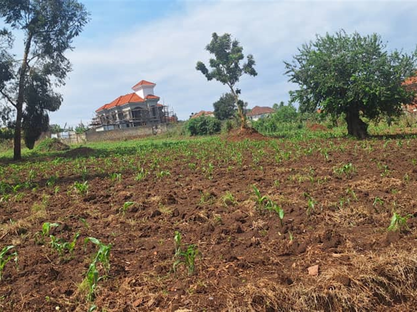 Residential land for sale in Najjera Wakiso Uganda