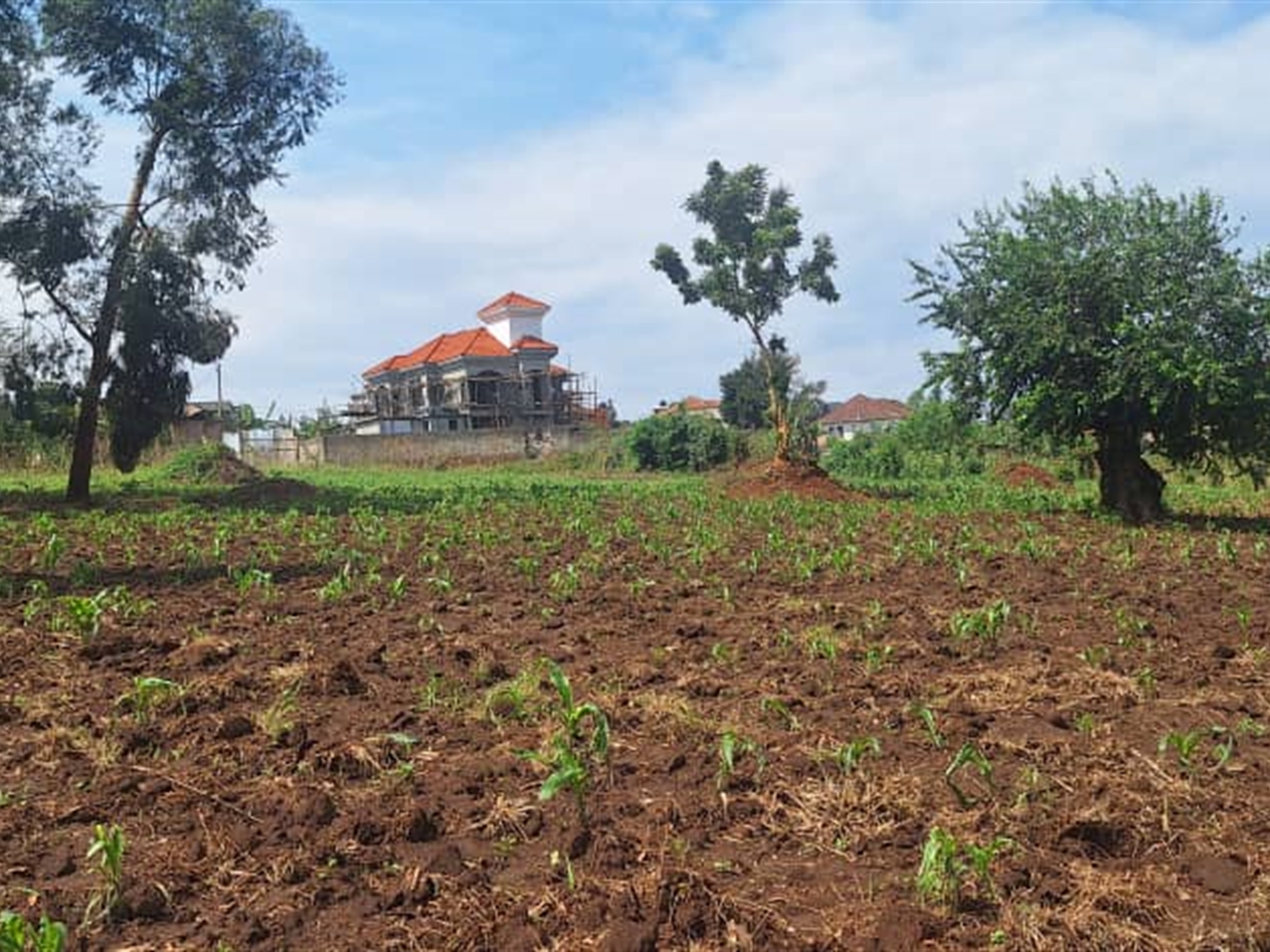 Residential land for sale in Najjera Wakiso Uganda