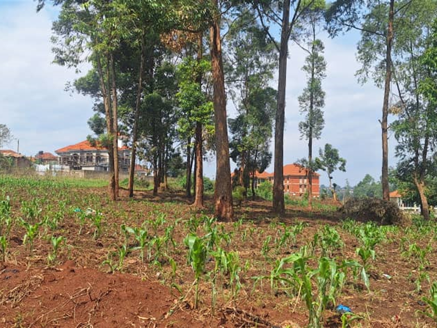 Residential land for sale in Najjera Wakiso Uganda
