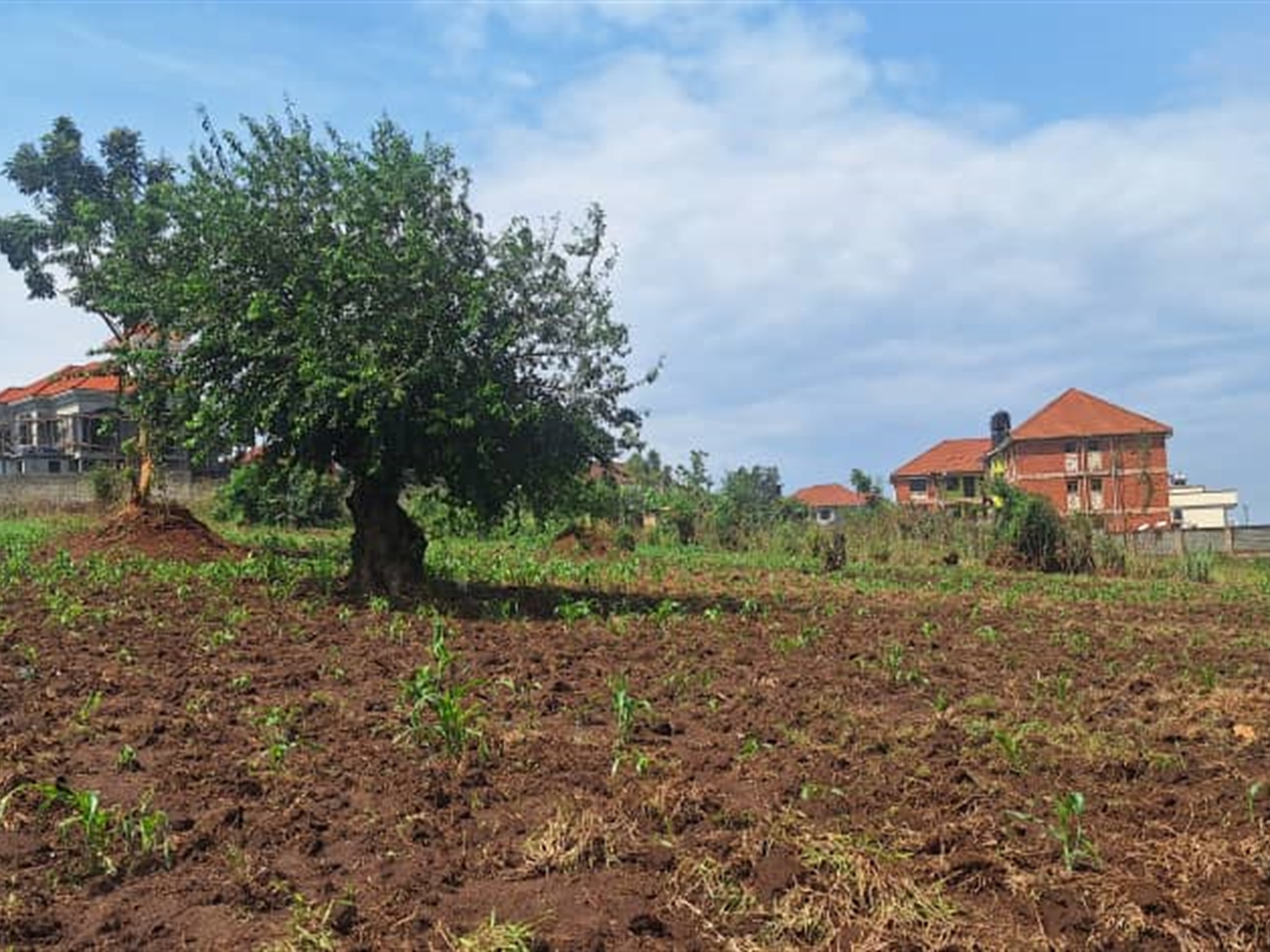 Residential land for sale in Najjera Wakiso Uganda