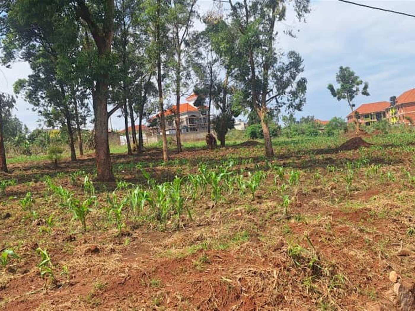 Residential land for sale in Najjera Wakiso Uganda