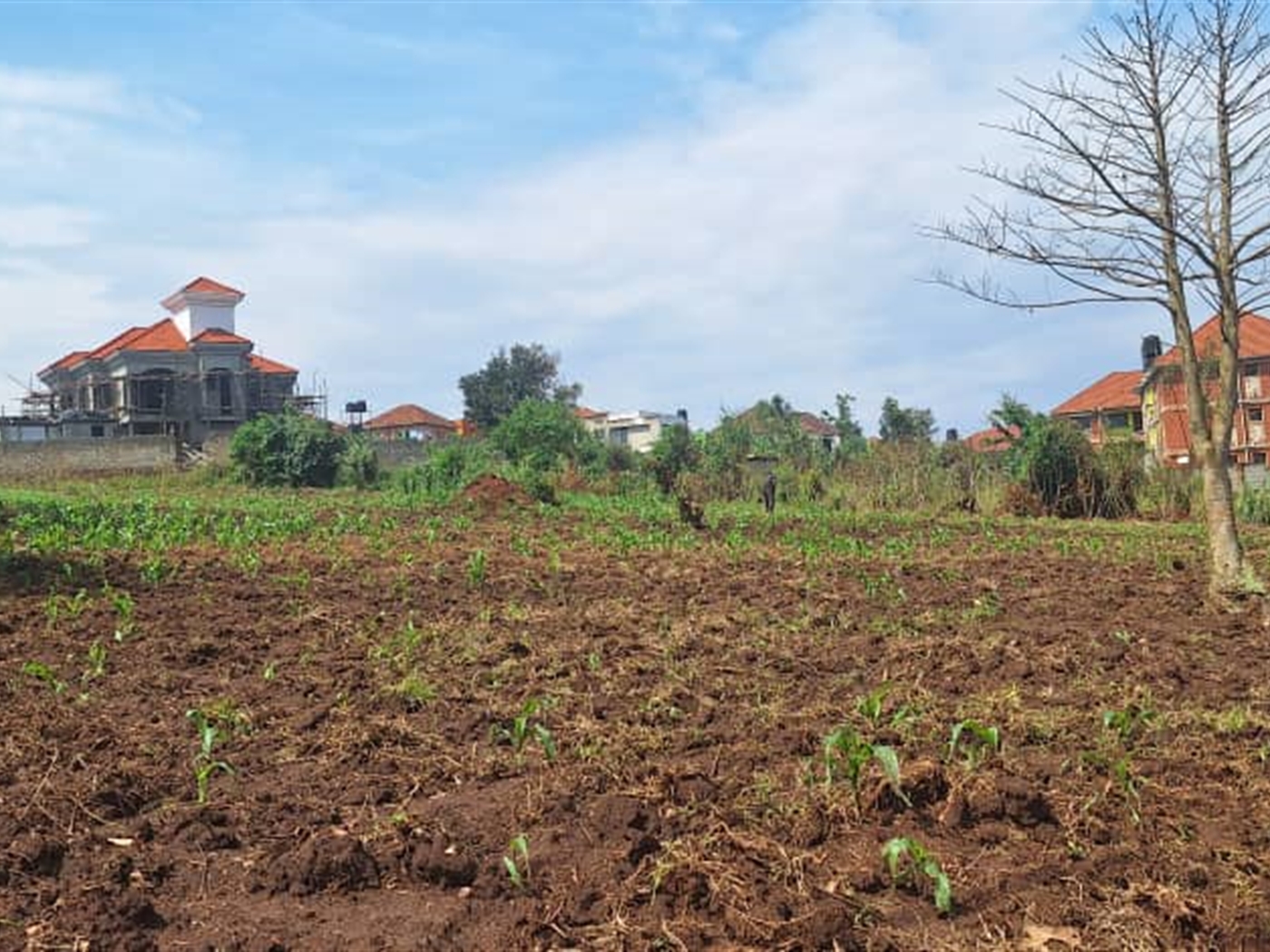 Residential land for sale in Najjera Wakiso Uganda