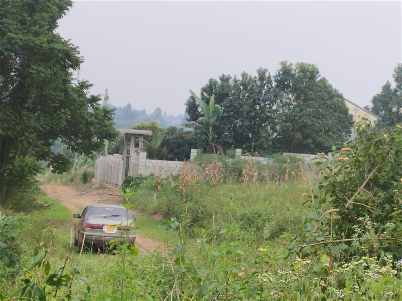 Residential land for sale in Gayaza Wakiso Uganda