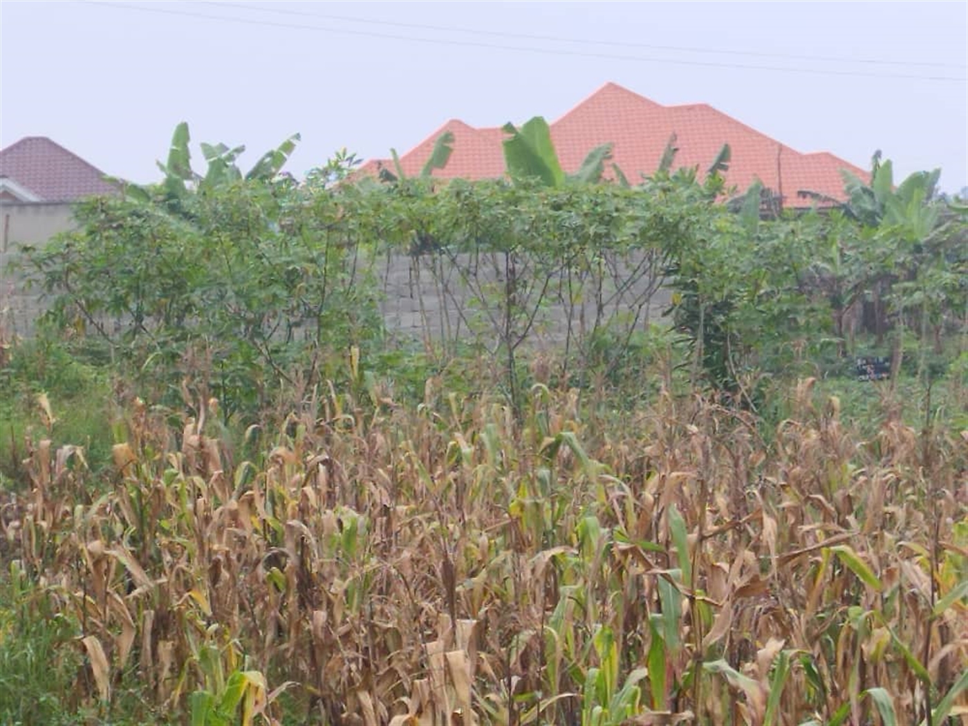 Residential land for sale in Gayaza Wakiso Uganda