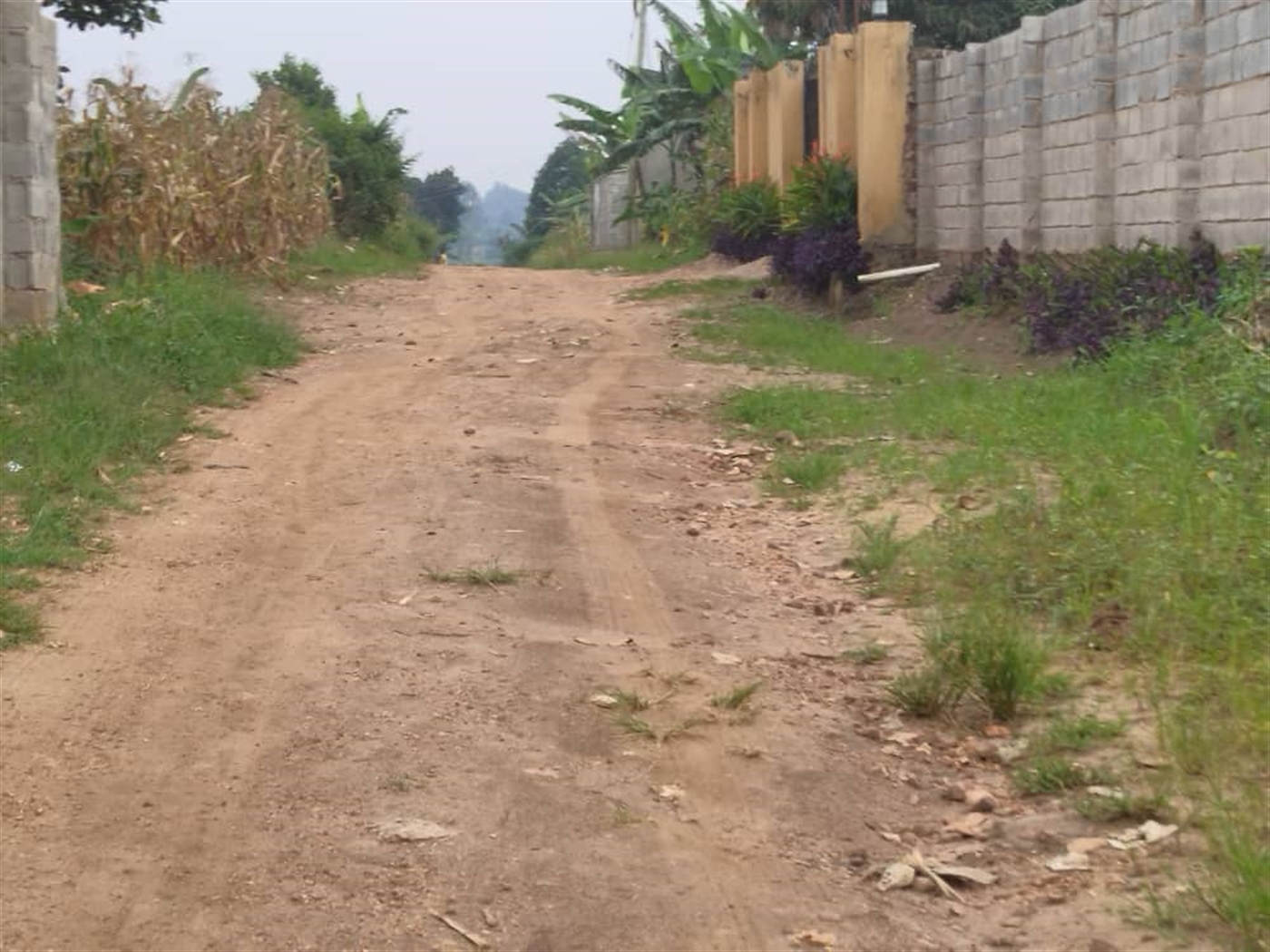 Residential land for sale in Gayaza Wakiso Uganda