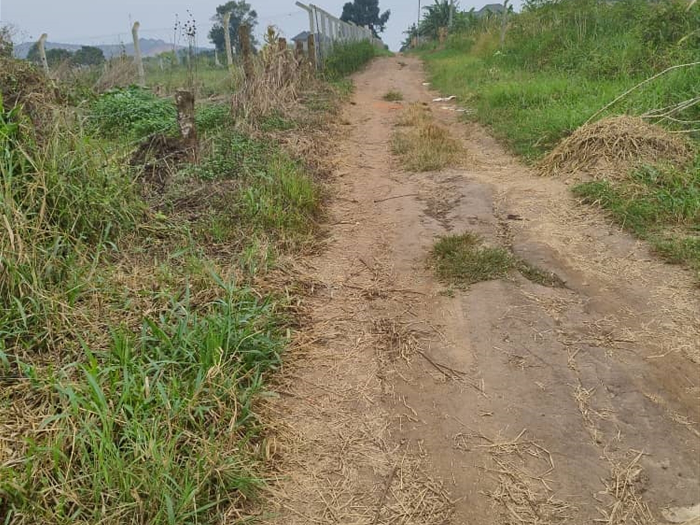 Residential land for sale in Gayaza Wakiso Uganda