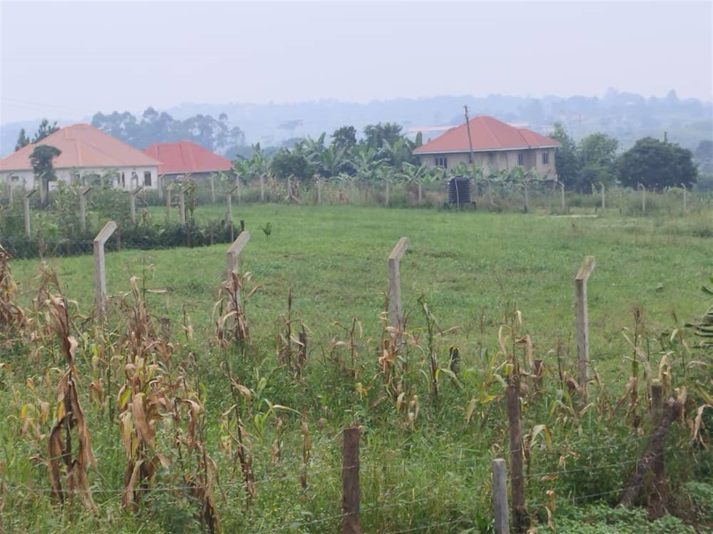 Residential land for sale in Gayaza Wakiso Uganda