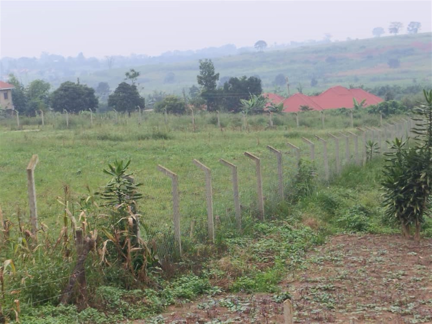 Residential land for sale in Gayaza Wakiso Uganda