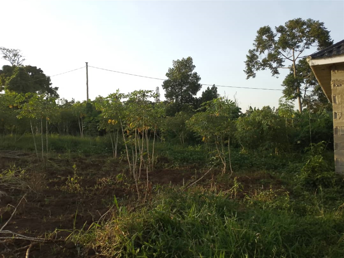 Residential land for sale in Gayaza Wakiso Uganda