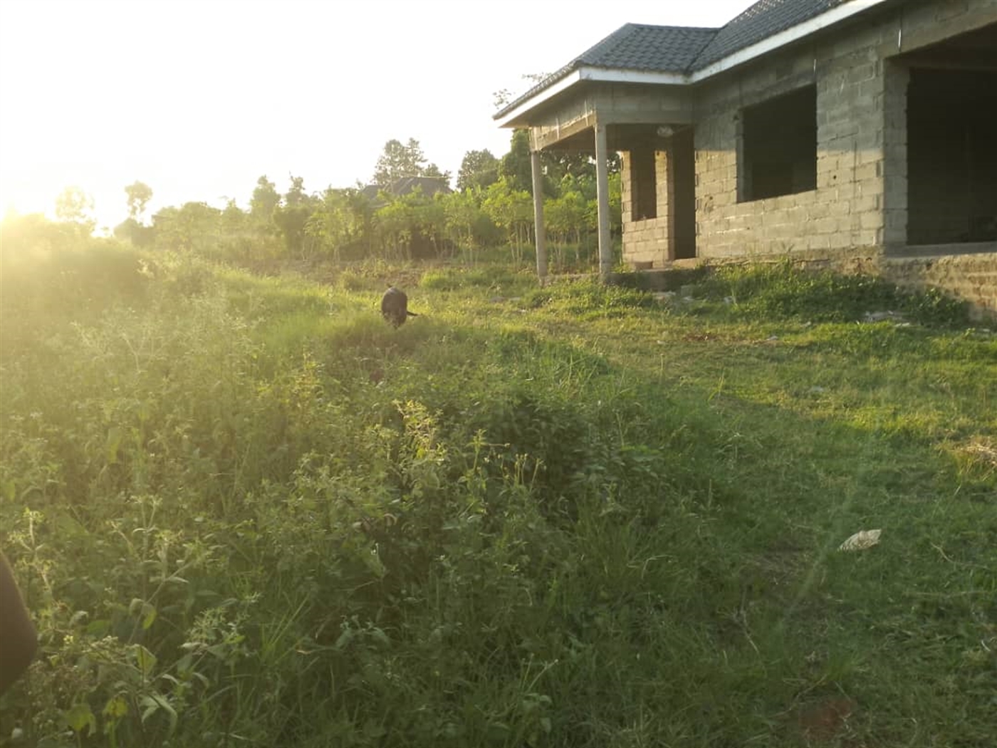 Residential land for sale in Gayaza Wakiso Uganda