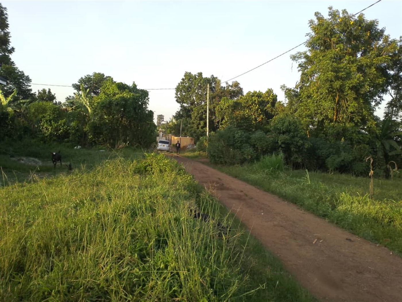 Residential land for sale in Gayaza Wakiso Uganda