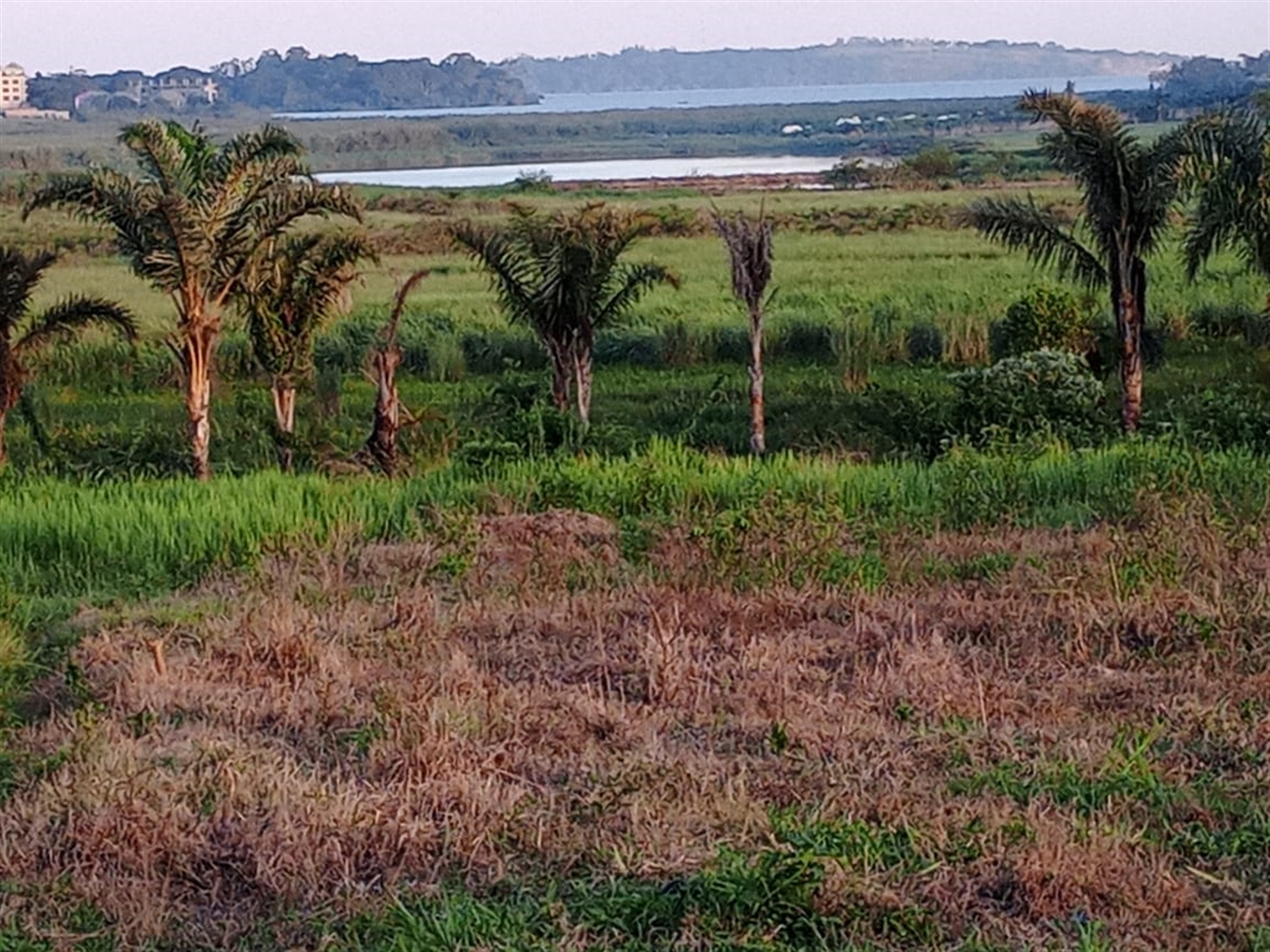 Residential land for sale in Nkumba Wakiso Uganda
