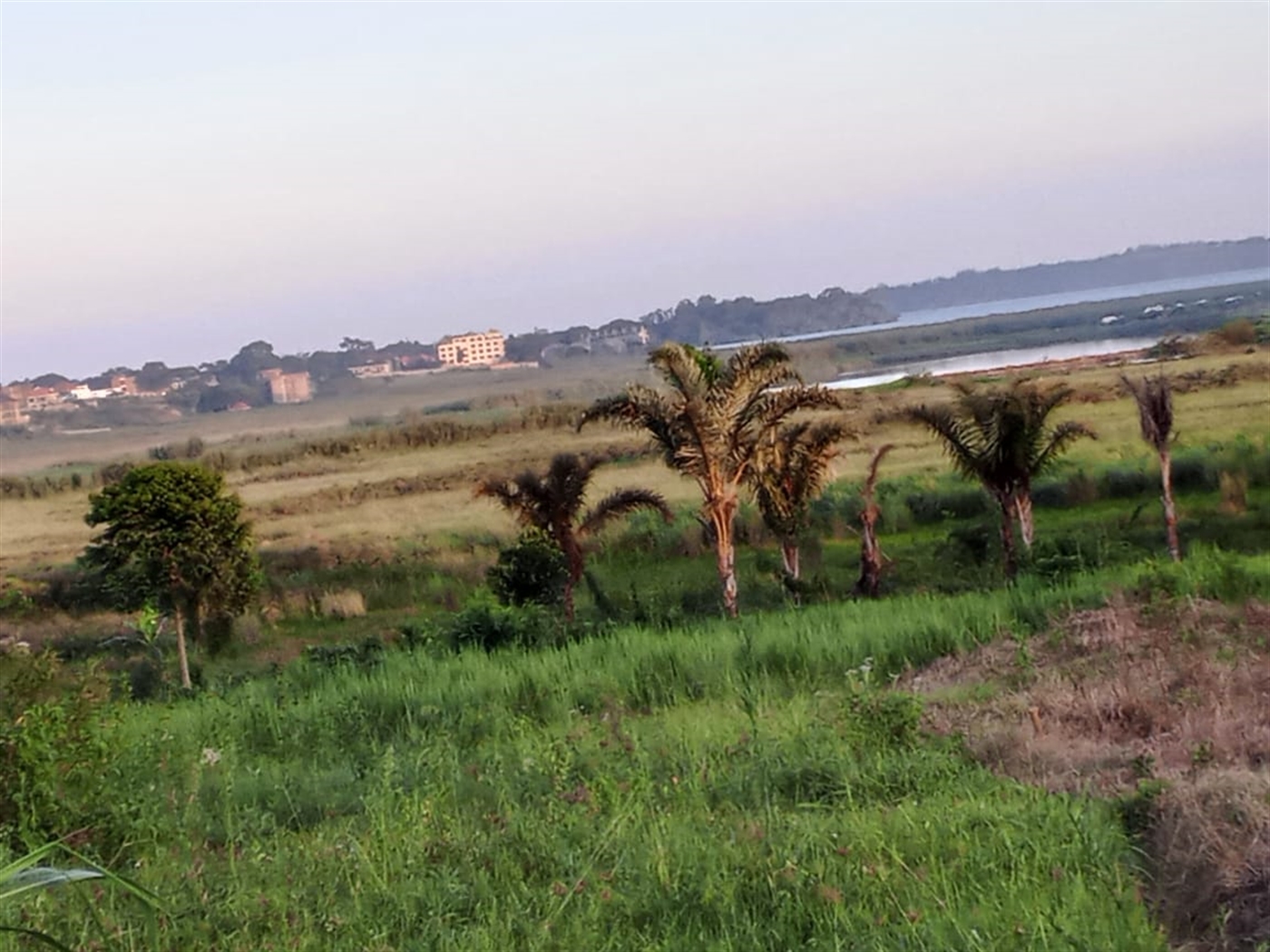Residential land for sale in Nkumba Wakiso Uganda