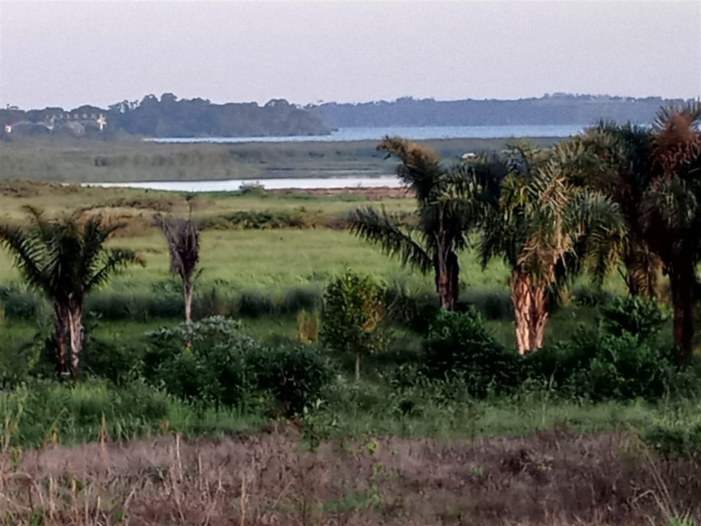 Residential land for sale in Nkumba Wakiso Uganda
