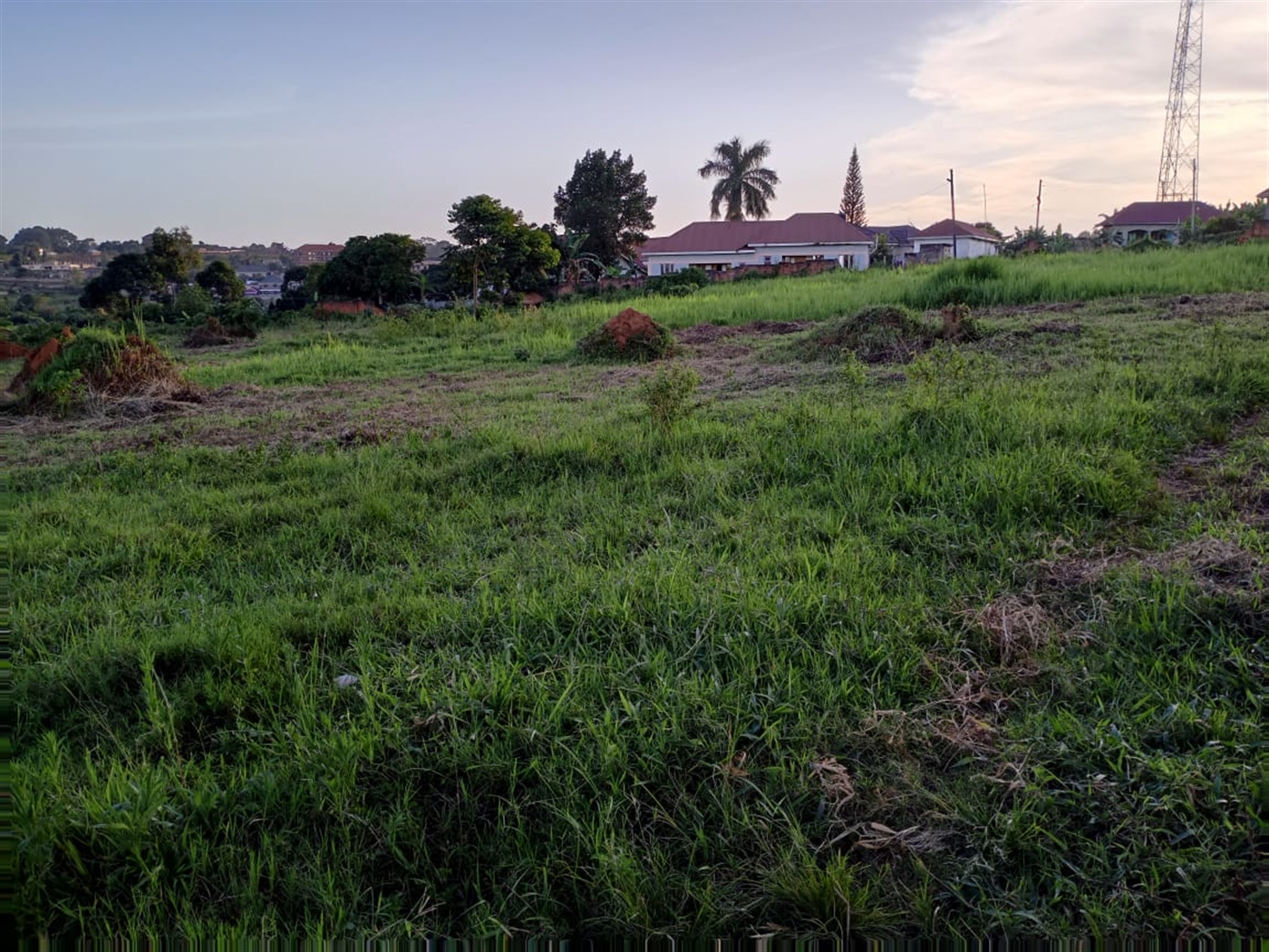 Residential land for sale in Nkumba Wakiso Uganda