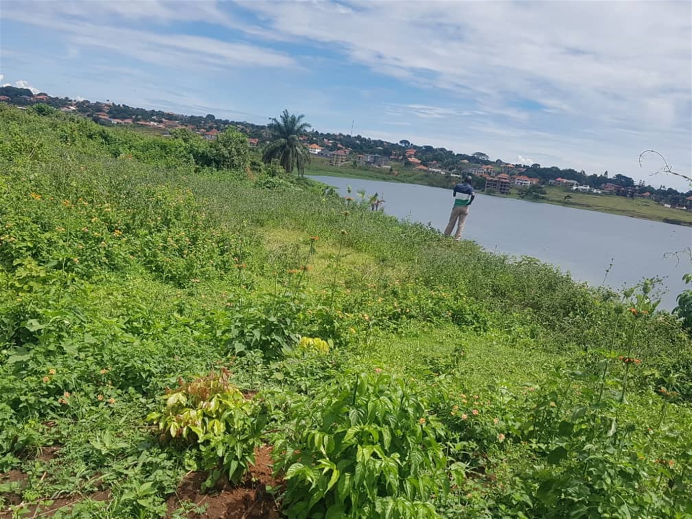 Residential land for sale in Nkumba Wakiso Uganda