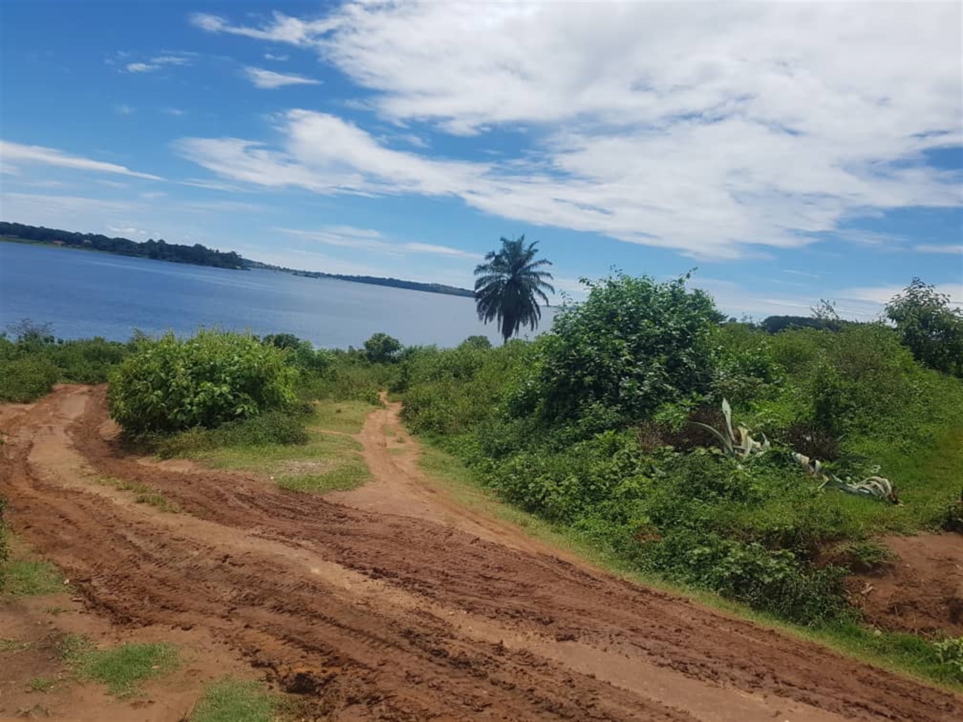 Residential land for sale in Nkumba Wakiso Uganda