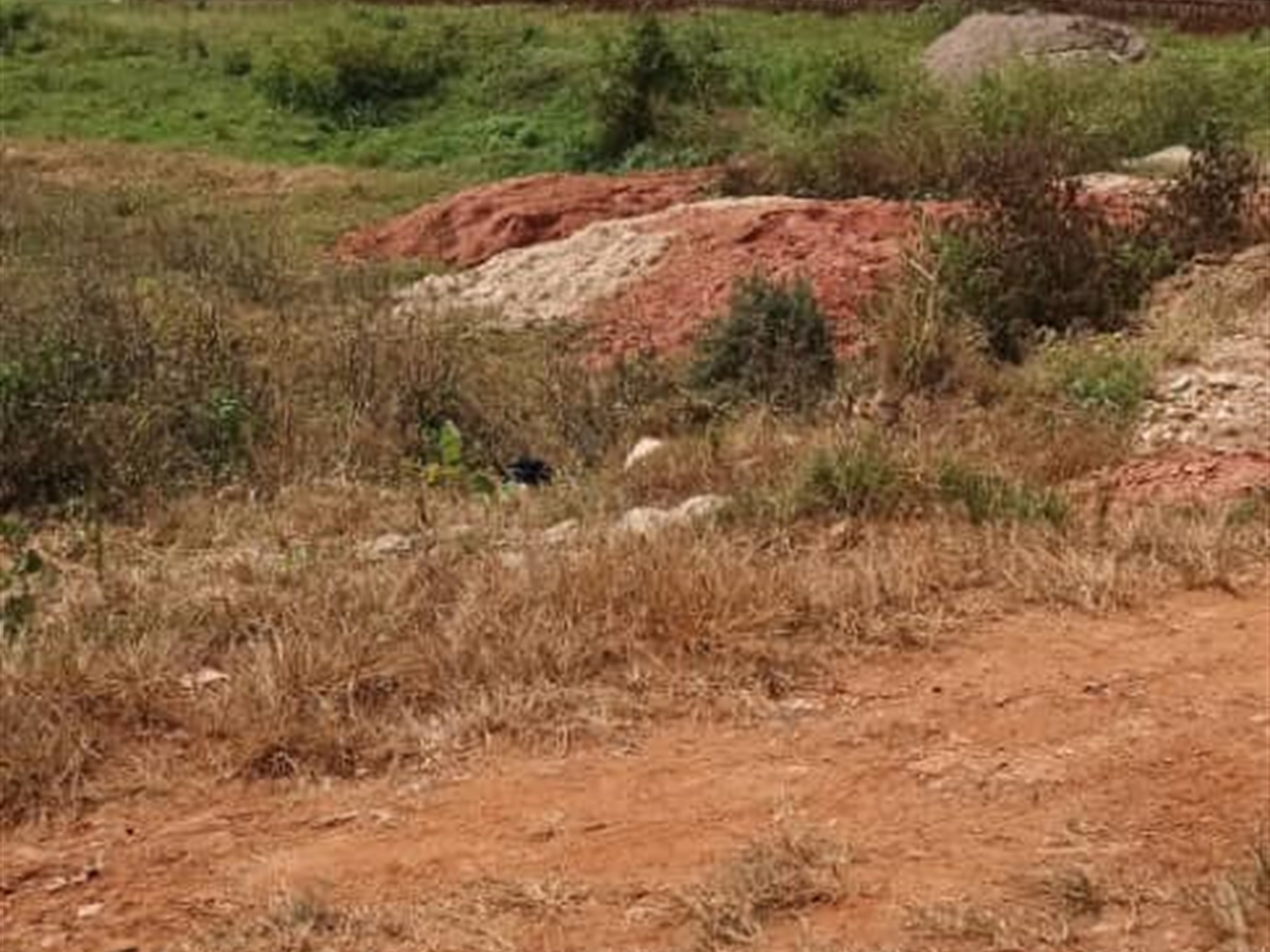 Residential land for sale in Gayaza Wakiso Uganda