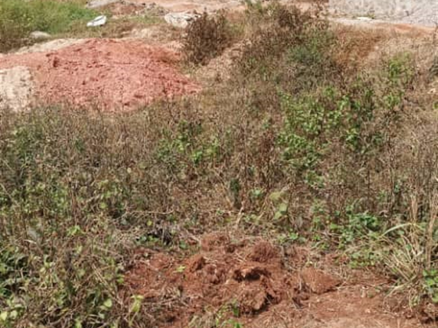 Residential land for sale in Gayaza Wakiso Uganda