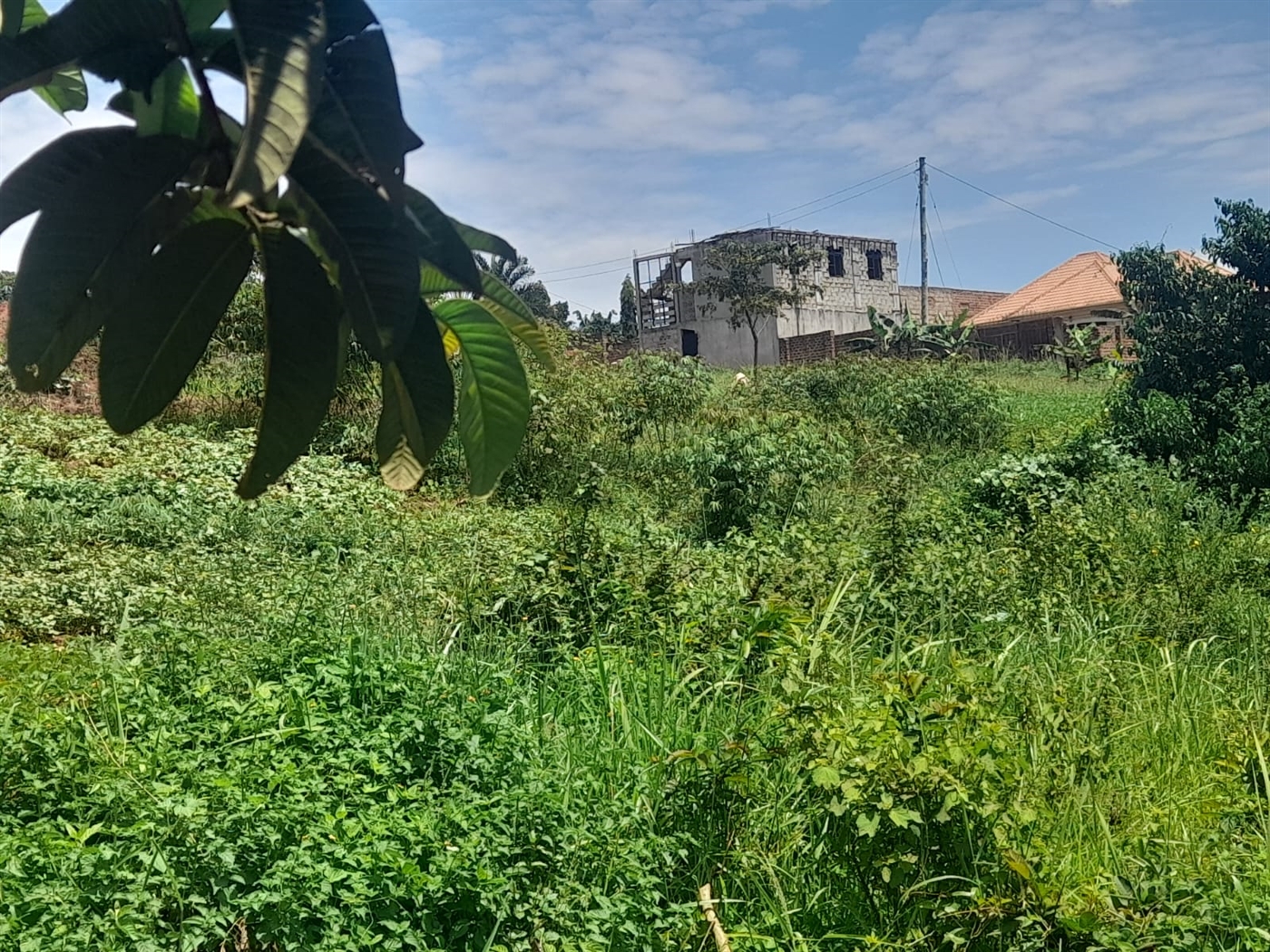Residential land for sale in Gayaza Wakiso Uganda
