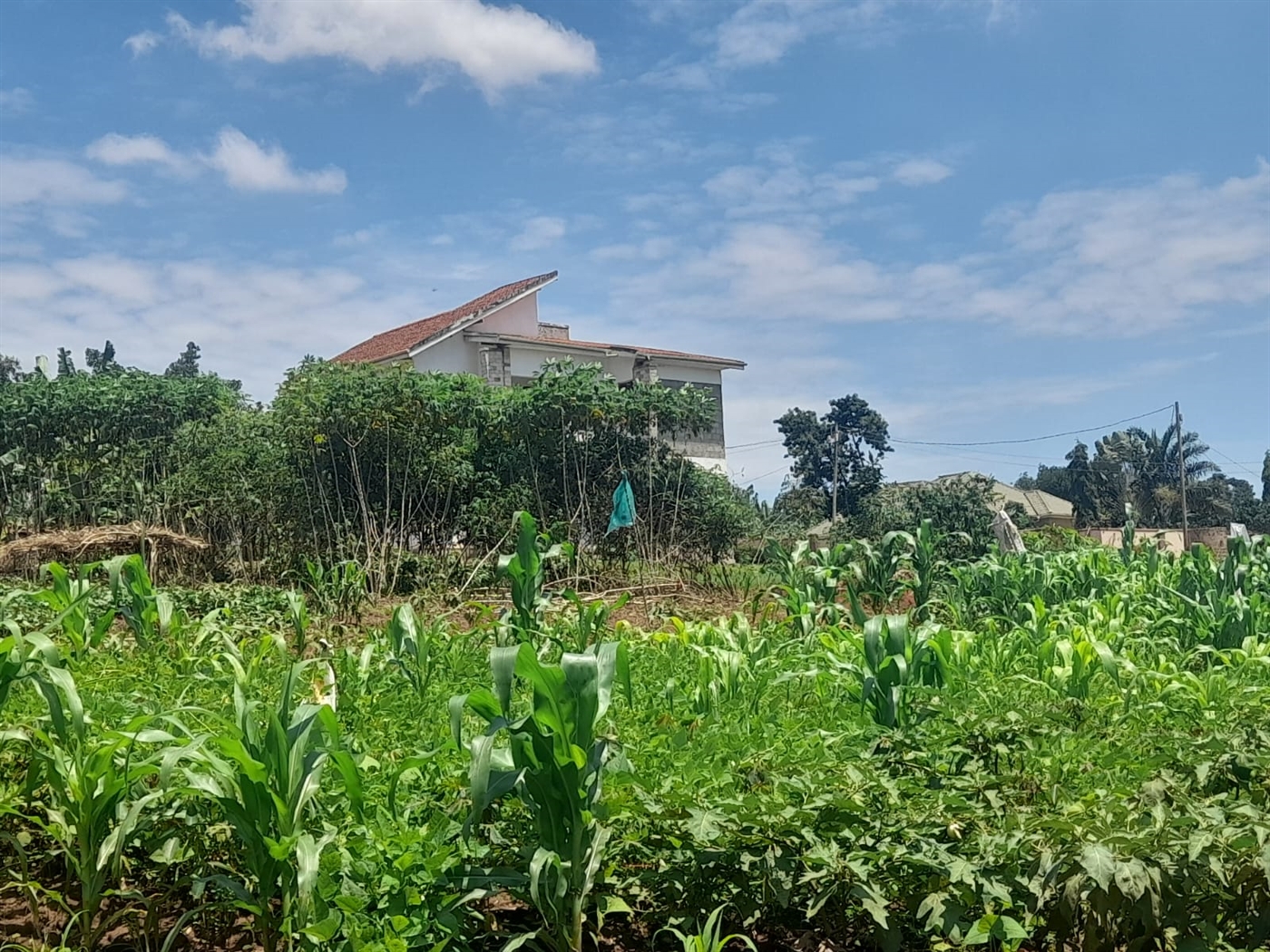 Residential land for sale in Gayaza Wakiso Uganda