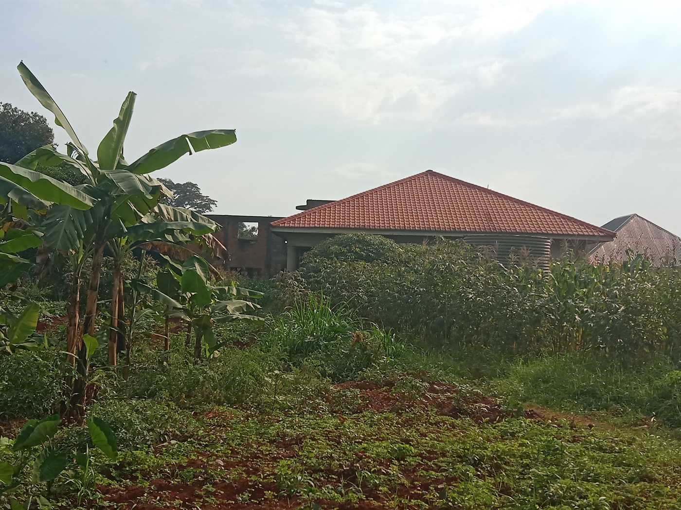 Residential land for sale in Nkumba Wakiso Uganda