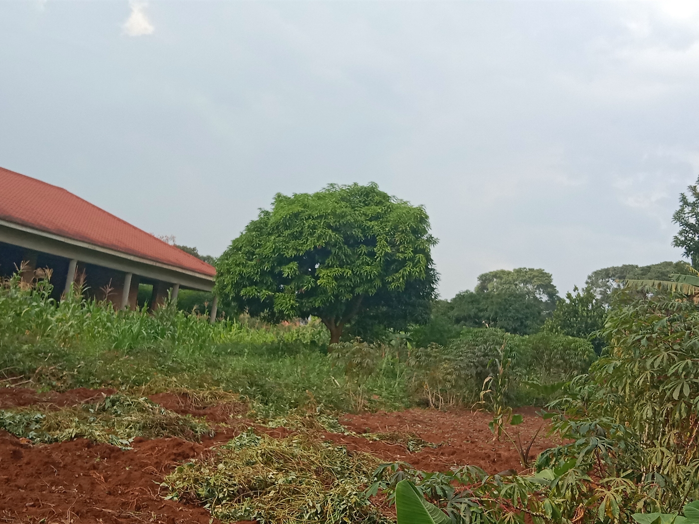  Residential land for sale in Nkumba Wakiso Uganda