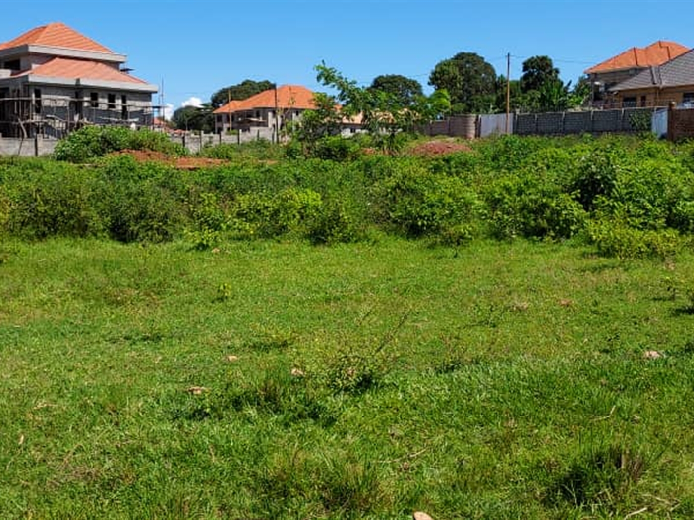 Residential land for sale in Nkumba Wakiso Uganda