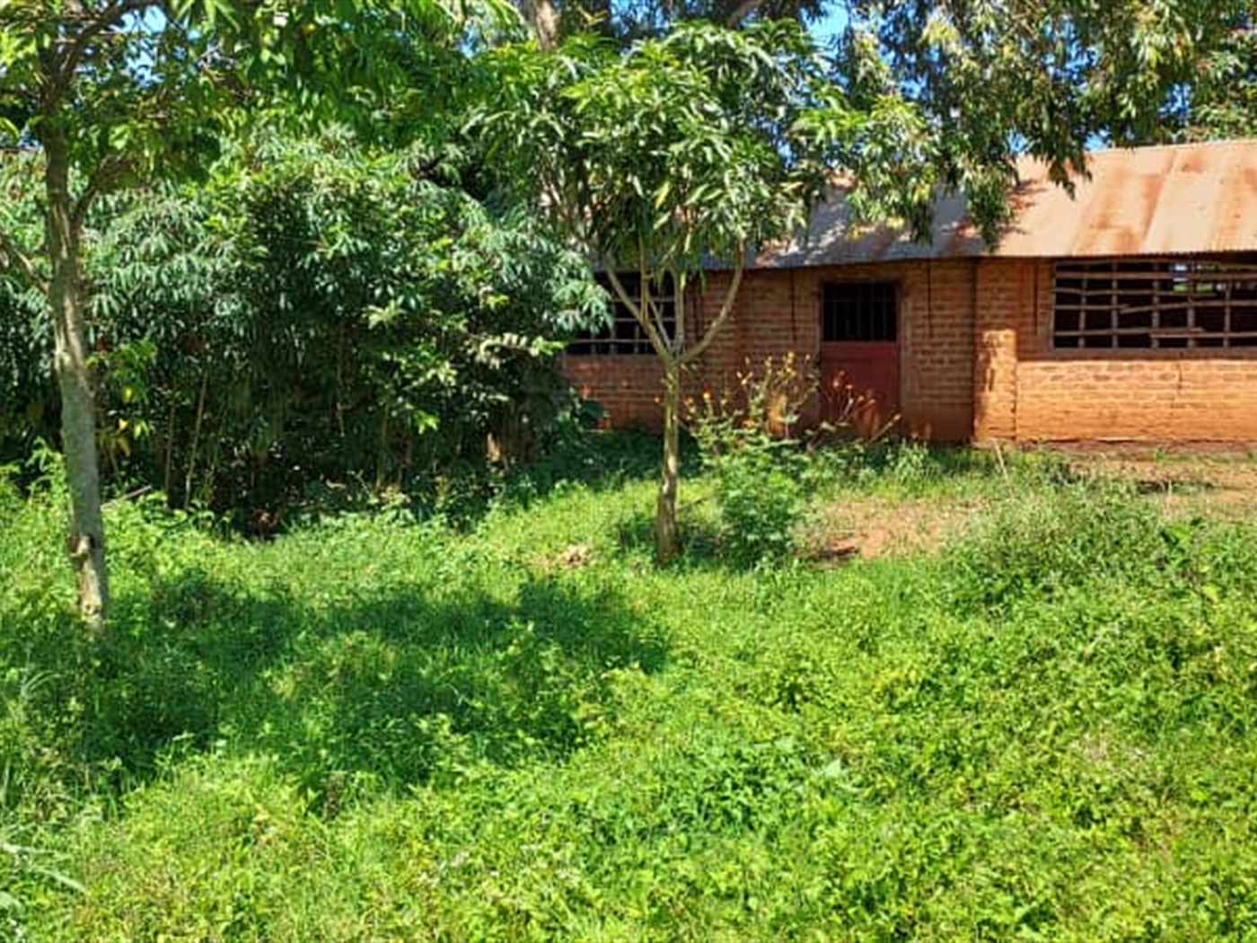 Residential land for sale in Nkumba Wakiso Uganda