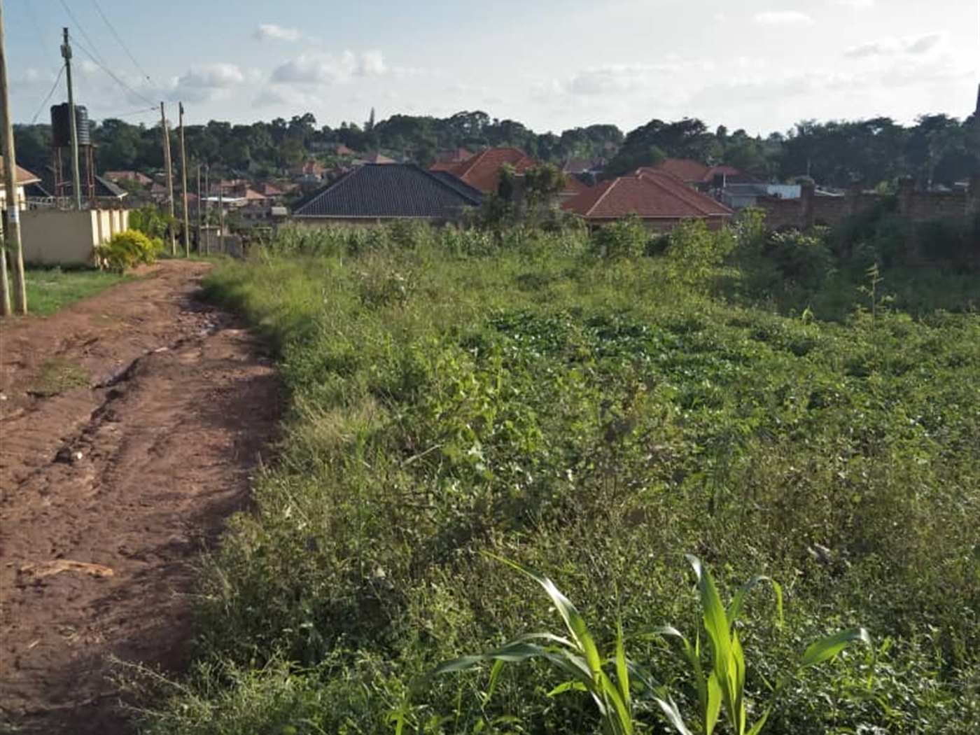 Residential land for sale in Gayaza Wakiso Uganda