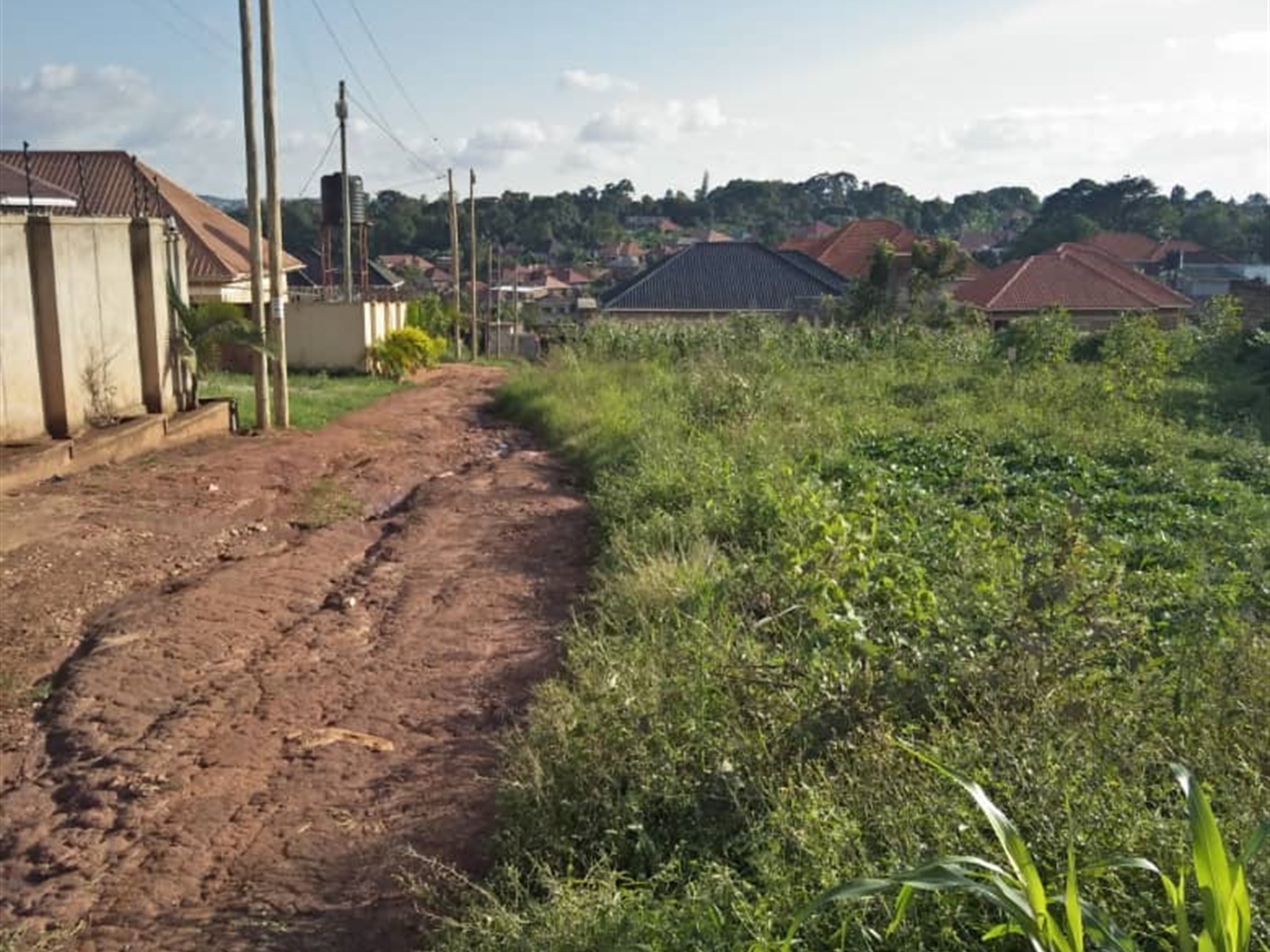 Residential land for sale in Gayaza Wakiso Uganda