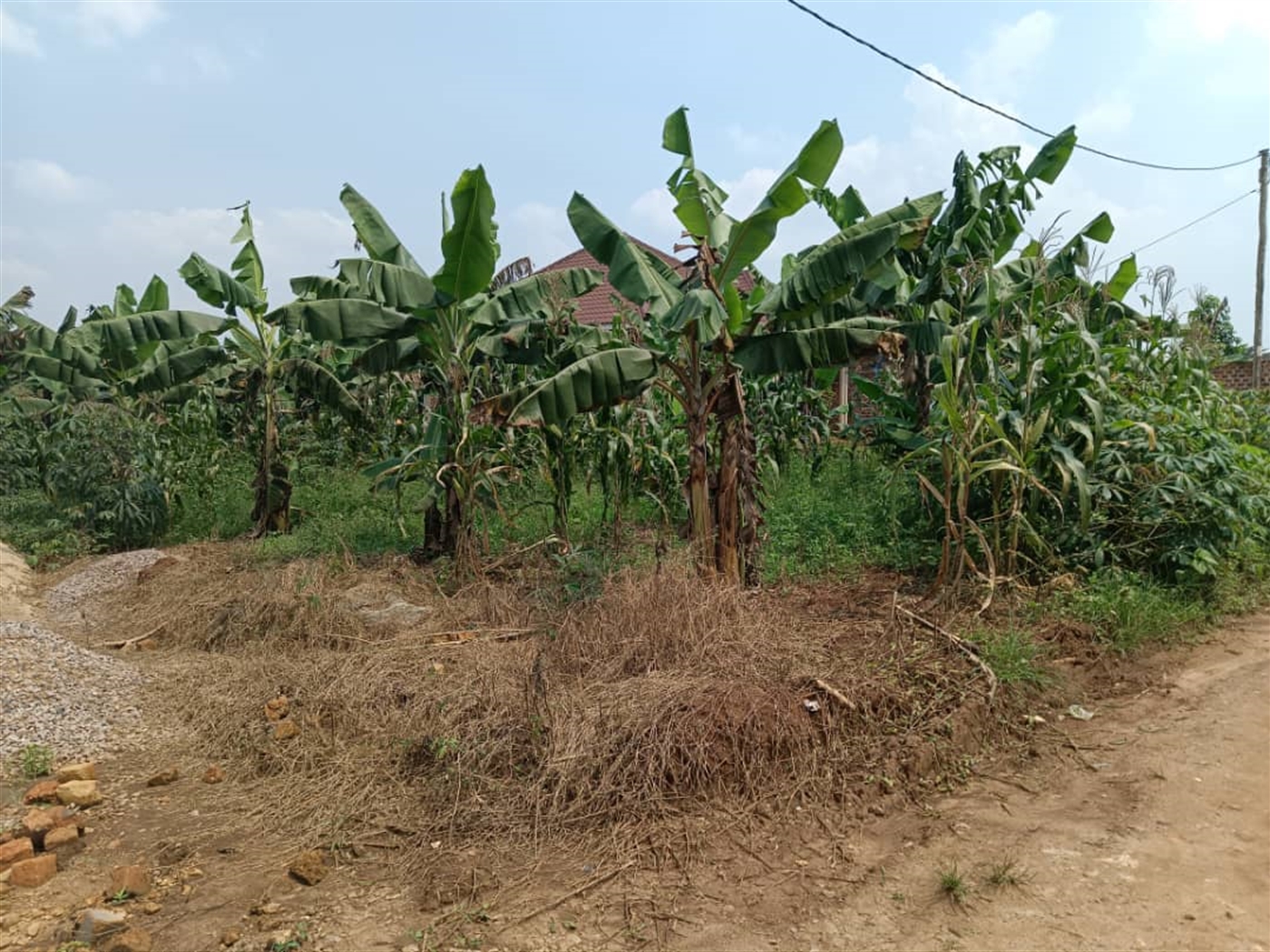 Residential land for sale in Seeta Mukono Uganda