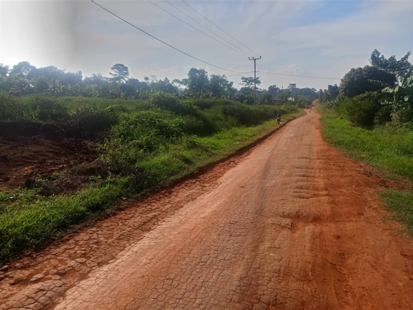 Residential land for sale in Gayaza Wakiso Uganda