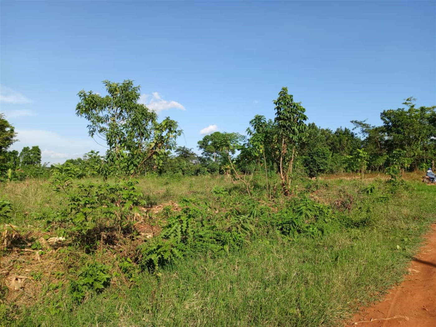 Residential land for sale in Gayaza Wakiso Uganda