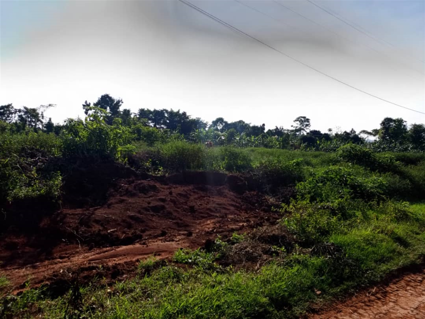 Residential land for sale in Gayaza Wakiso Uganda