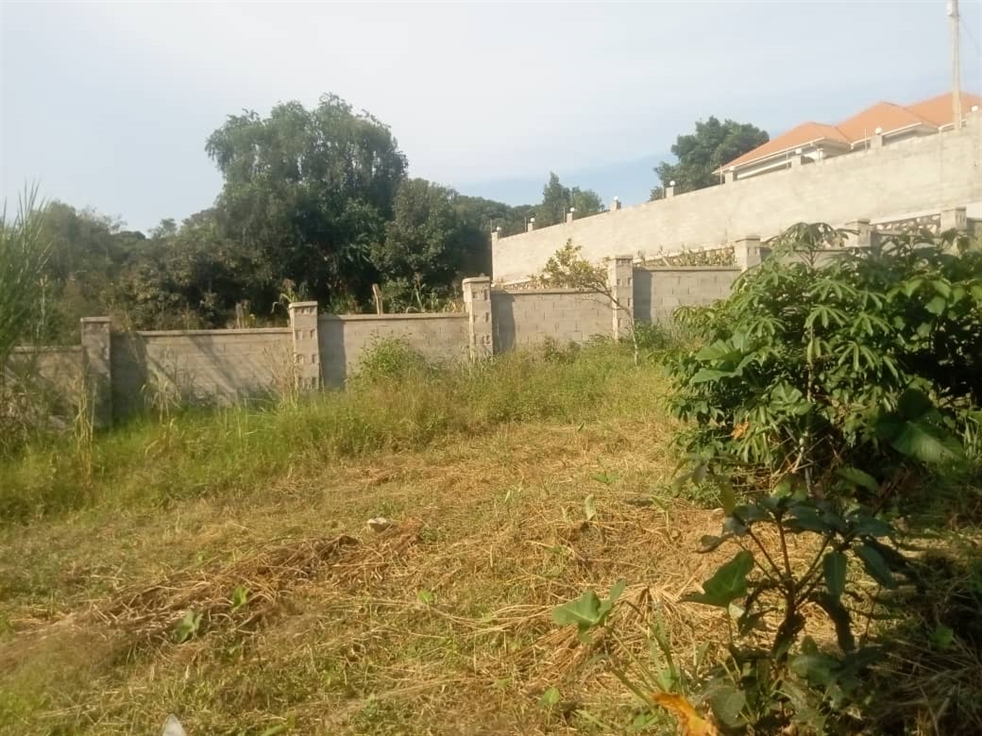 Residential land for sale in Gayaza Wakiso Uganda