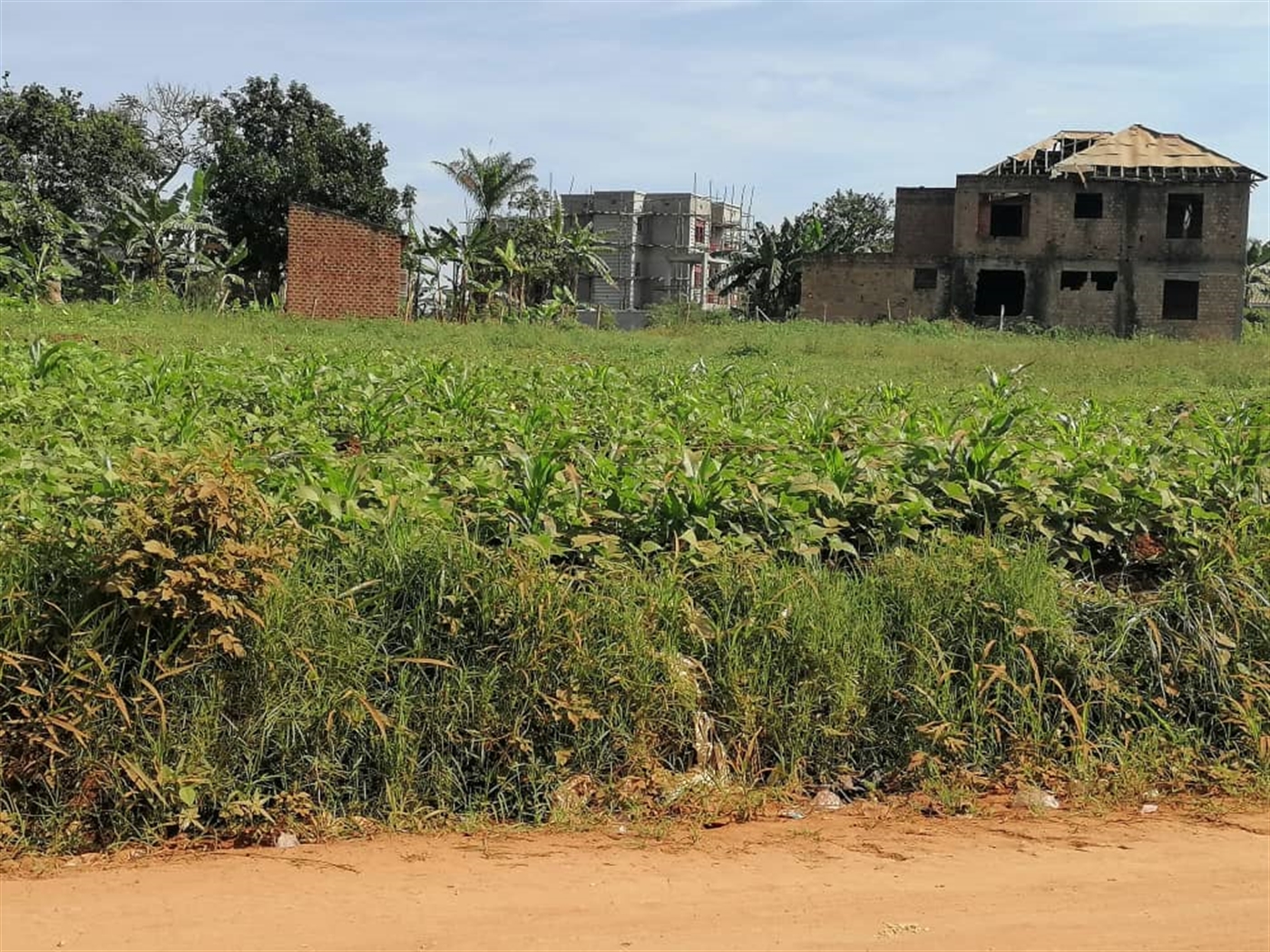 Residential land for sale in Gayaza Wakiso Uganda