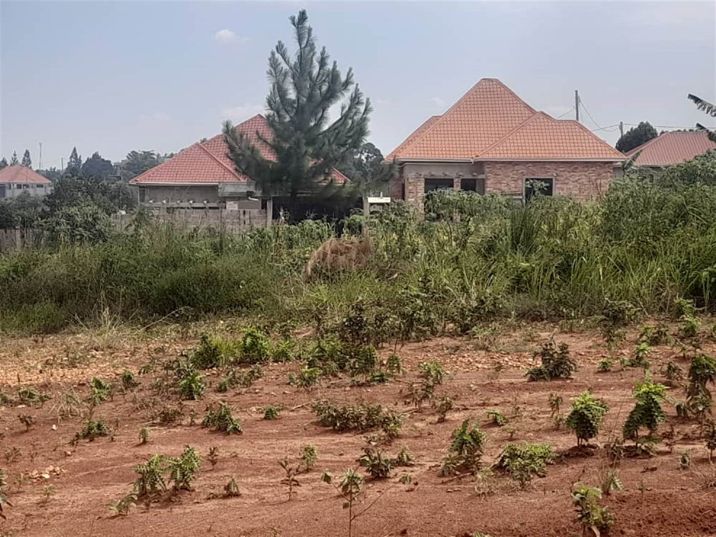 Residential land for sale in Gayaza Wakiso Uganda