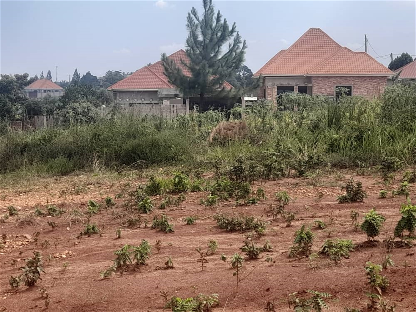 Residential land for sale in Gayaza Wakiso Uganda
