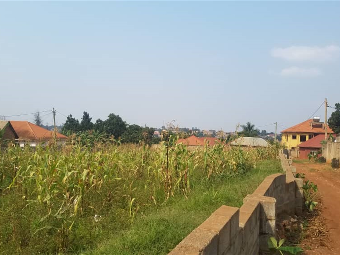 Residential land for sale in Gayaza Wakiso Uganda