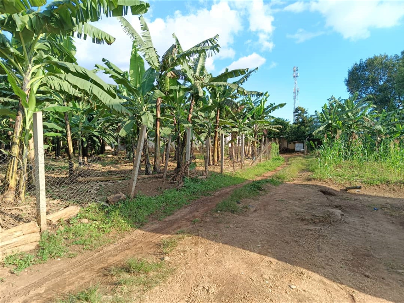 Residential land for sale in Sonde Wakiso Uganda
