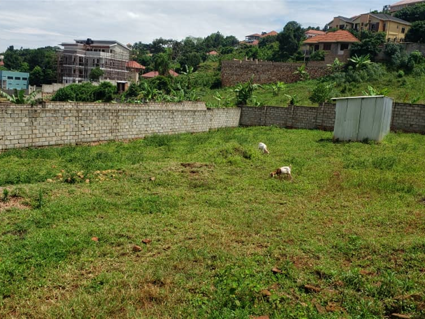 Residential land for sale in Bwebajja Wakiso Uganda